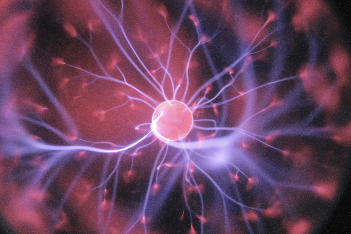 How Artificial Intelligence Enhances Everyday Life